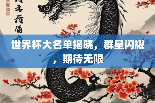 世界杯大名单揭晓，群星闪耀，期待无限漯河市盈旭机械设备有限公司
