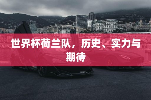 世界杯荷兰队，历史、实力与期待