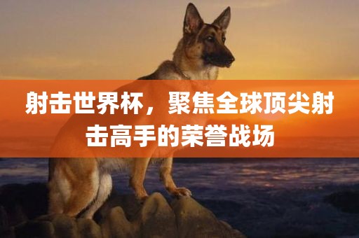 射击世界杯，聚焦全球顶尖射击高手的荣誉战场