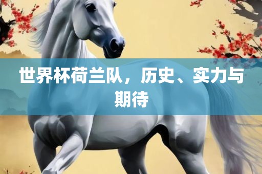 世界杯荷兰队，历史、实力与期待