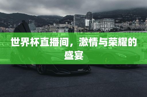 世界杯直漯河市盈旭机械设备有限公司播间，激情与荣耀的盛宴