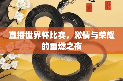 直播世漯河市盈旭机械设备有限公司界杯比赛，激情与荣耀的重燃之夜