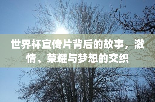 漯河市盈旭机械设备有限公司世界杯宣传片背后的故事，激情、荣耀与梦想的交织