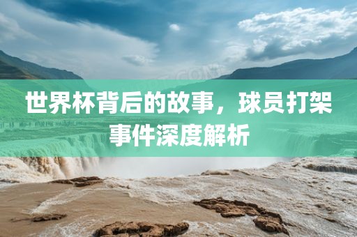 世界杯背后的故事，球员打架漯河市盈旭机械设备有限公司事件深度解析
