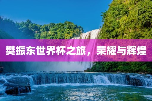 樊振东世界杯之旅，荣耀与辉煌漯河市盈旭机械设备有限公司
