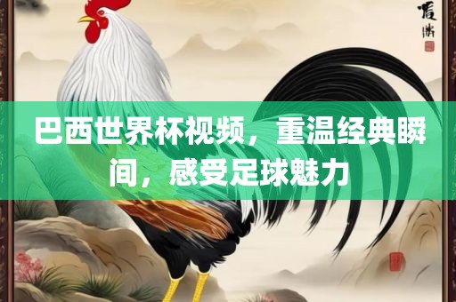 巴西世界杯漯河市盈旭机械设备有限公司视频，重温经典瞬间，感受足球魅力