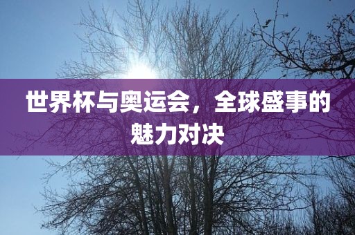 世界杯与奥运会，全球盛事的魅力漯河市盈旭机械设备有限公司对决