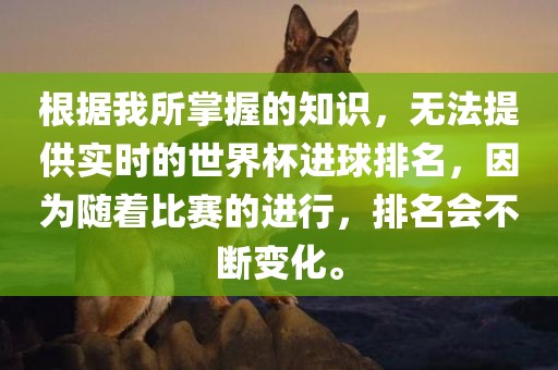 根据我所掌握的知识，无法提供实时的世界杯进球排名，因为随着比赛的进行，排名会不断变化。