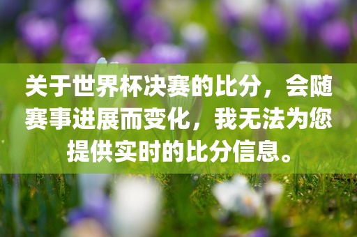 世界杯决赛 第5页