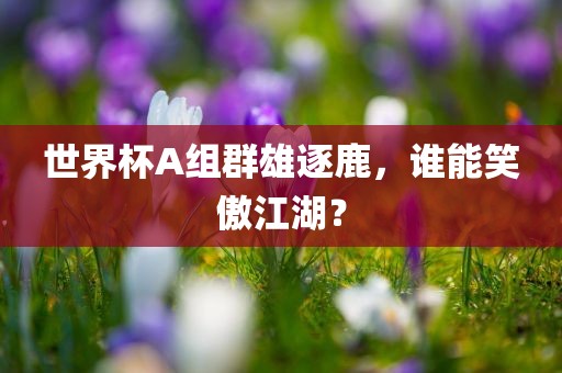 世界杯A组群雄逐鹿，谁能笑傲江湖？