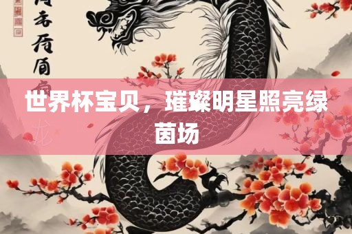 世界杯宝贝，璀璨明星照亮绿茵漯河市盈旭机械设备有限公司场