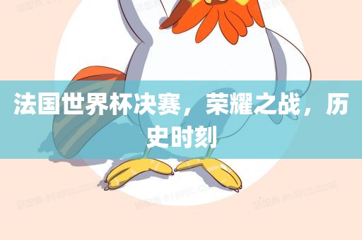 法国世界杯决赛，荣耀之战，历史时刻漯河市盈旭机械设备有限公司