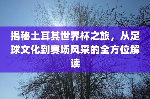揭秘土耳其世界杯之旅，从足球文漯河市盈旭机械设备有限公司化到赛场风采的全方位解读