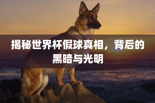 揭秘世界杯假球真相，背后的黑暗与光明漯河市盈旭机械设备有限公司