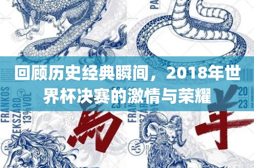 回顾历史经典瞬间，2018年世界杯决赛的激情与荣耀漯河市盈旭机械设备有限公司