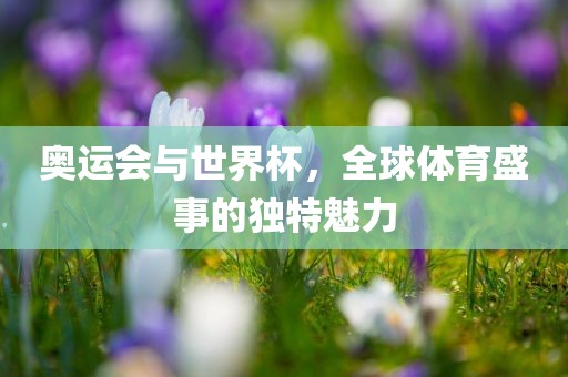 奥运会与世界杯，全球体育盛事的独特魅力