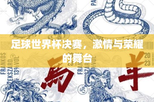 足球世界杯决赛，激情与荣耀的舞台漯河市盈旭机械设备有限公司