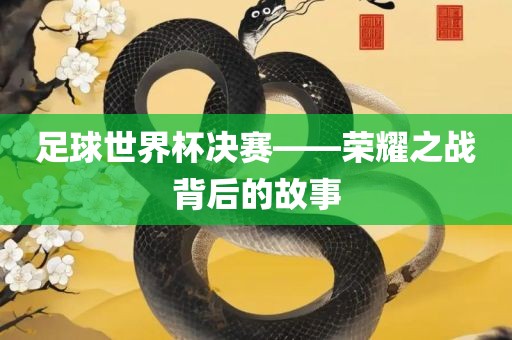 足球世界杯决赛——荣耀之战背后的故事