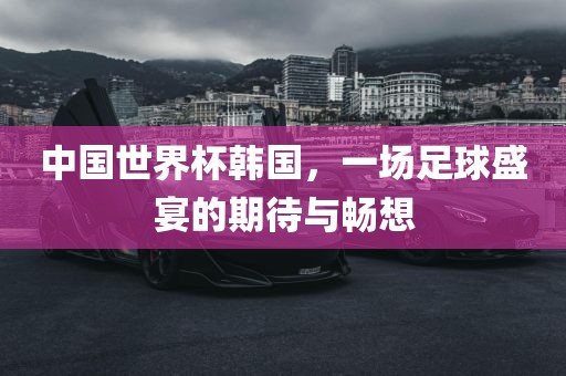 中国世界杯韩国，一场足球盛宴的期待与畅想漯河市盈旭机械设备有限公司