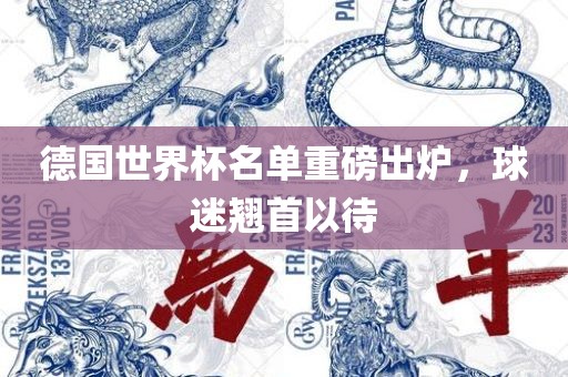 德国世界杯名单重磅出炉，球迷翘首以待