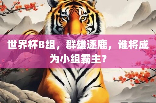 世界杯B组，群雄逐鹿，谁将成为小组霸主？