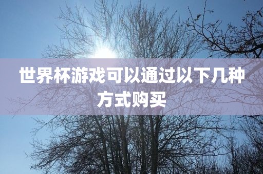 世界杯游戏可以通过以下几种方式购买