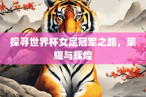 探寻世界杯女足冠漯河市盈旭机械设备有限公司军之路，荣耀与辉煌