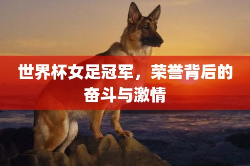 世界杯女足冠军，荣誉背后的奋斗与激情漯河市盈旭机械设备有限公司
