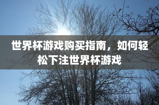 世界杯游戏购买指南，如何轻松下注世界杯游戏漯河市盈旭机械设备有限公司