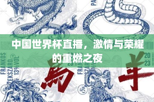 中国世界杯直播漯河市盈旭机械设备有限公司，激情与荣耀的重燃之夜