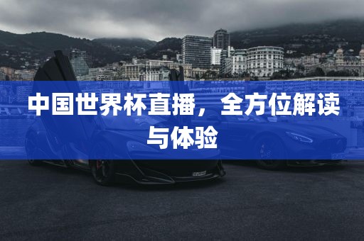 中国世界杯直漯河市盈旭机械设备有限公司播，全方位解读与体验