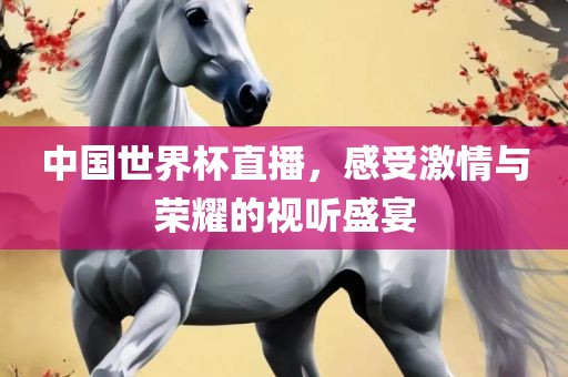 中国世界杯直漯河市盈旭机械设备有限公司播，感受激情与荣耀的视听盛宴