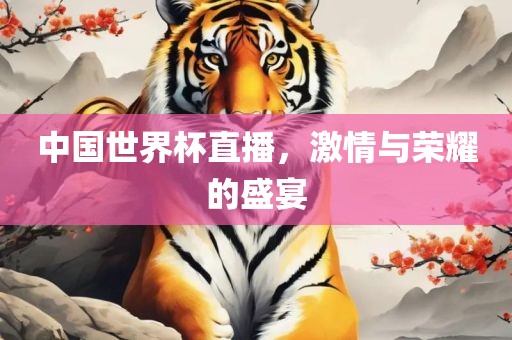 中国世界杯直播，激情与荣耀的盛宴漯河市盈旭机械设备有限公司