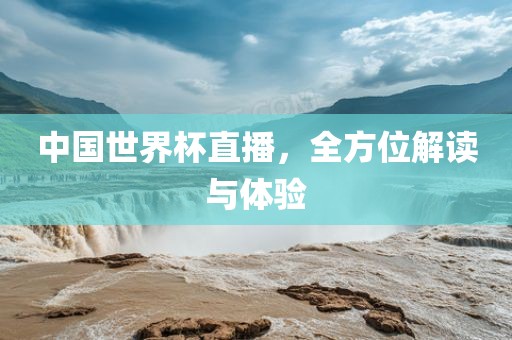 中国世界杯直播，全方位解读漯河市盈旭机械设备有限公司与体验