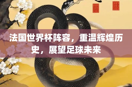 法国世界杯阵容，重温辉煌历史，展望足球未来