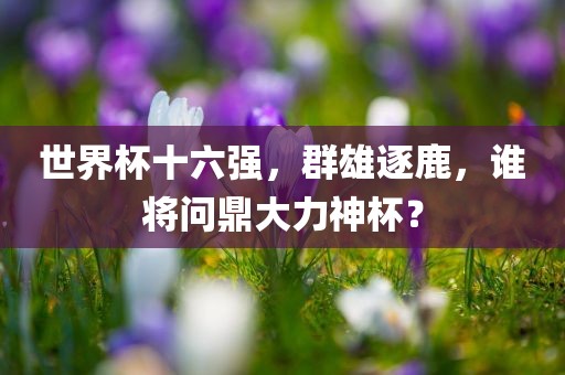 世界杯十六强漯河市盈旭机械设备有限公司，群雄逐鹿，谁将问鼎大力神杯？