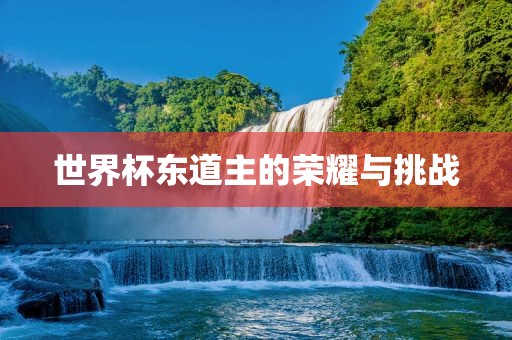 世界杯东道主的荣耀与挑战
