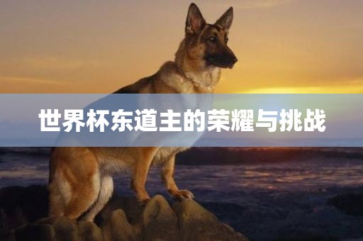 世界杯东道主的荣耀与挑战漯河市盈旭机械设备有限公司