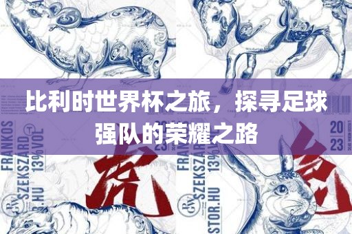 比利时世界杯之旅，探寻足球强队的荣耀之路漯河市盈旭机械设备有限公司