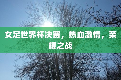 女足世界杯决赛，热血激情，荣耀之战漯河市盈旭机械设备有限公司