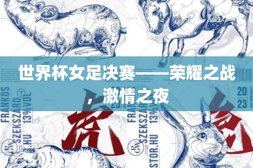 世界杯女足决赛——荣耀之战，激情之夜漯河市盈旭机械设备有限公司