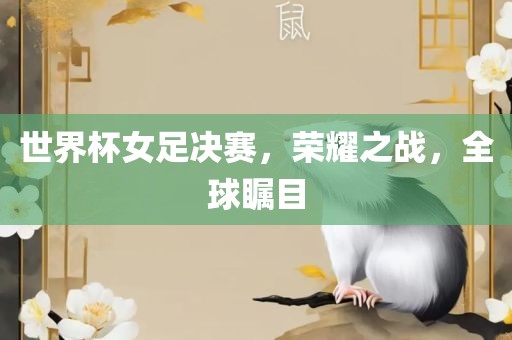 世界杯女足决赛，荣耀之战，漯河市盈旭机械设备有限公司全球瞩目