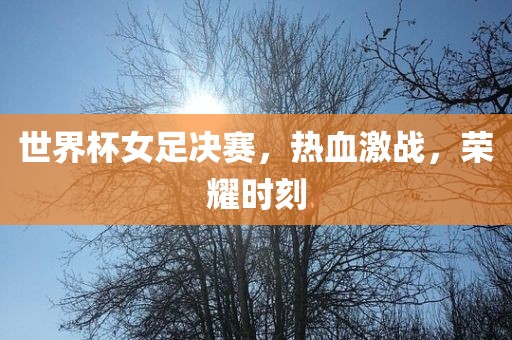 世界杯女足决赛，热血激战，荣耀时刻漯河市盈旭机械设备有限公司