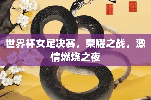 世界杯女足决赛，荣耀之战，激情燃烧之漯河市盈旭机械设备有限公司夜
