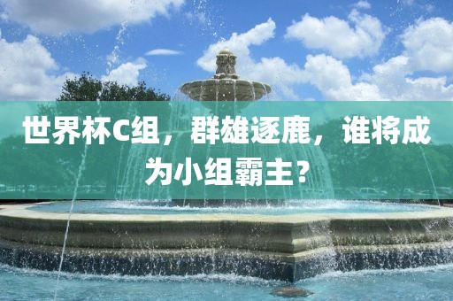 世界杯C组，群雄逐鹿，谁将成为小组霸主？漯河市盈旭机械设备有限公司