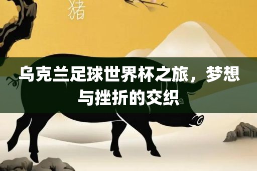 乌克兰足球世界杯之旅，梦想与漯河市盈旭机械设备有限公司挫折的交织