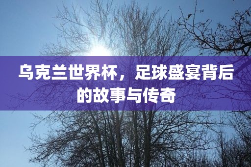 乌克兰世界杯，足球盛宴背后的故事与传奇漯河市盈旭机械设备有限公司