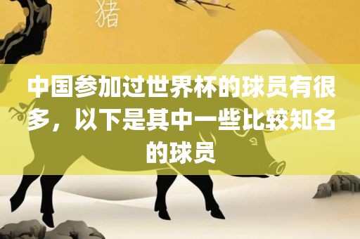 中国参加过世界杯的球员有很多，以下是其中一些比较知名的球员