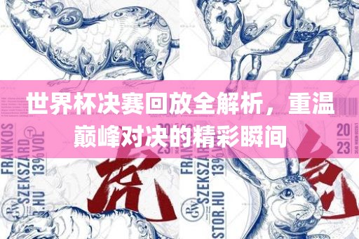 世界杯决赛回放全解析，重温巅峰对决的精彩瞬间漯河市盈旭机械设备有限公司
