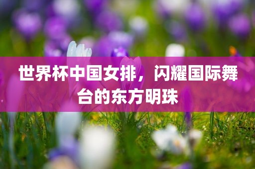 世界杯中国女排，闪耀国际舞台的东方明珠漯河市盈旭机械设备有限公司